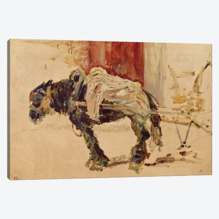 A Draft Horse At Céleyran, 1881 Canvas Print #BMN12183} by Henri de Toulouse-Lautrec Canvas Print