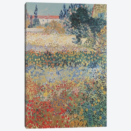 Garden in Bloom, Arles, July 1888  Canvas Print #BMN1223} by Vincent van Gogh Canvas Artwork