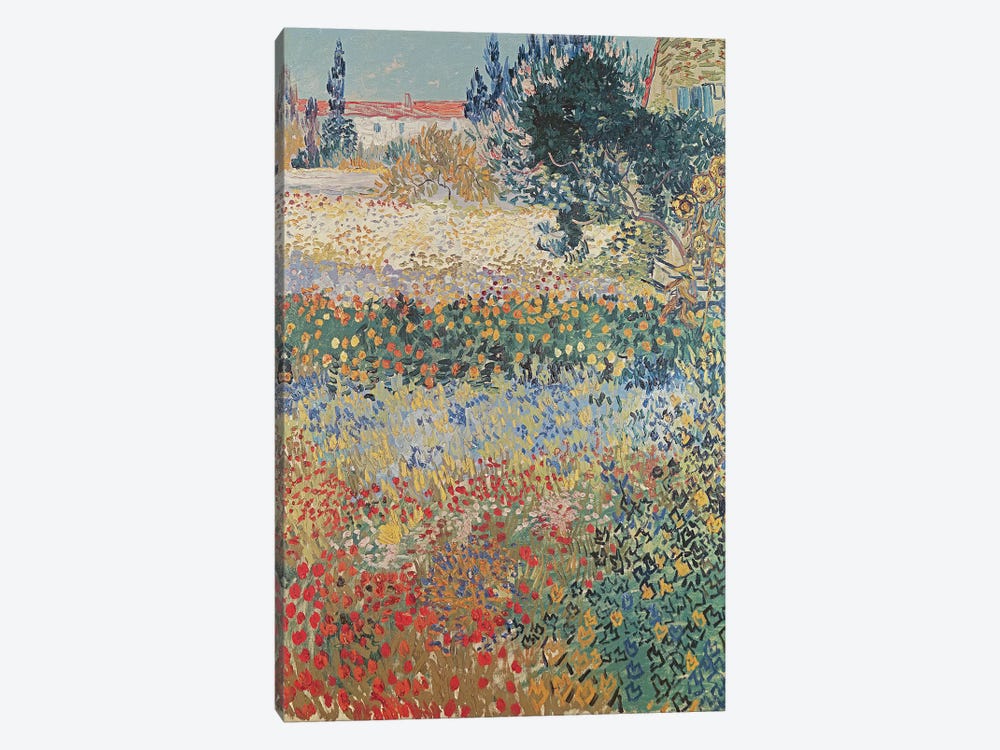 Garden in Bloom, Arles, July 1888  by Vincent van Gogh 1-piece Canvas Print
