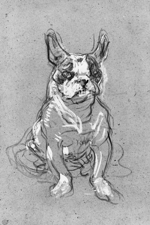 Bouboule', The Bulldog Of Madame Palmyre At La Souris, 1897