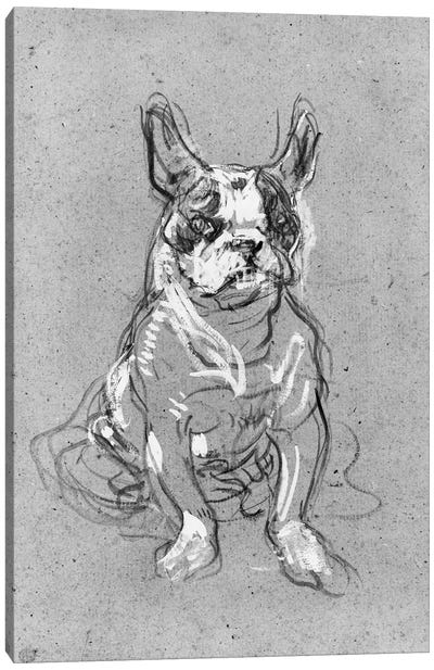 Bouboule', The Bulldog Of Madame Palmyre At La Souris, 1897 Canvas Art Print - Bulldog Art