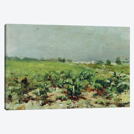 Celeyran, View Of The Vineyard, 1880 Canvas Print #BMN12254} by Henri de Toulouse-Lautrec Canvas Wall Art