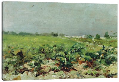 Celeyran, View Of The Vineyard, 1880 Canvas Art Print - Vineyard Art