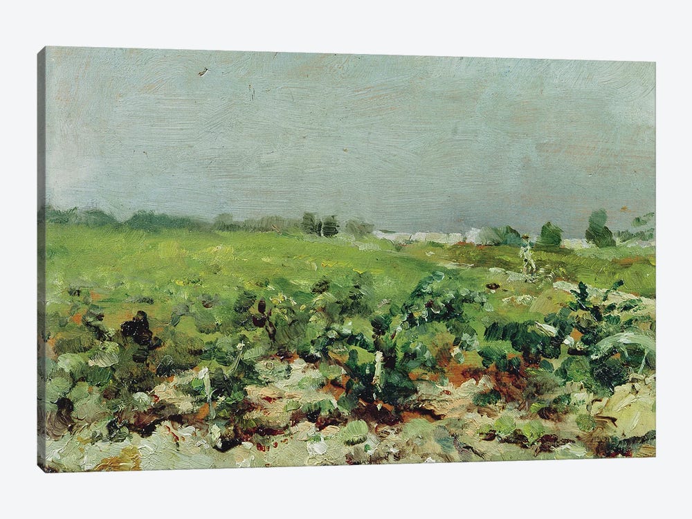 Celeyran, View Of The Vineyard, 1880 by Henri de Toulouse-Lautrec 1-piece Canvas Art