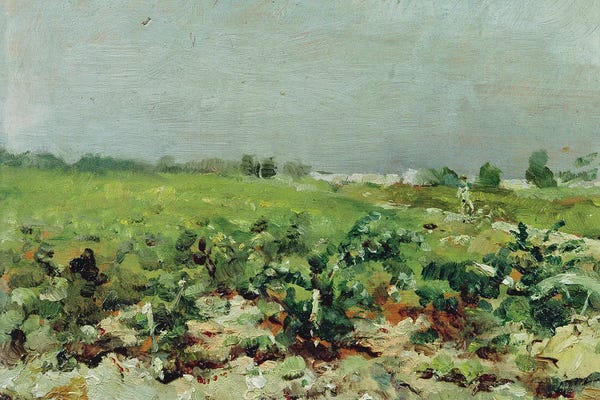 Vineyards: Celeyran, View Of The Vineyard, 1880 by Henri de Toulouse-Lautrec