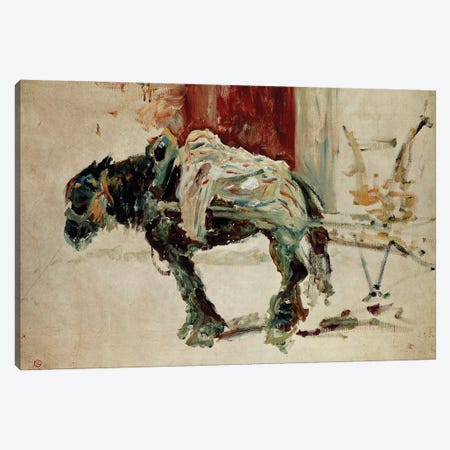 Daught Horse To Celeyran, 1881 Canvas Print #BMN12284} by Henri de Toulouse-Lautrec Canvas Art Print
