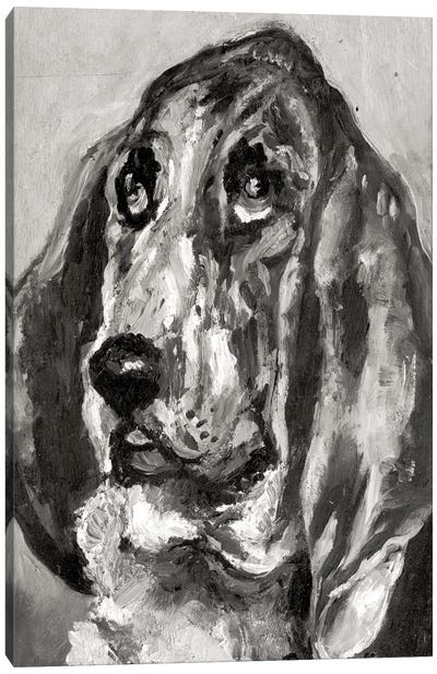 Head Of A Dog Running, 1880 Canvas Art Print - Basset Hound Art