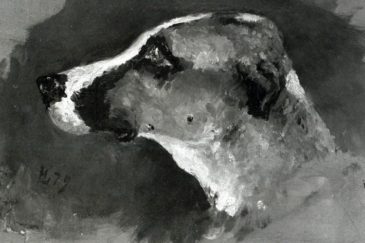 Head Of A Dog With Short Ears, 1879