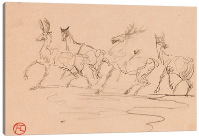 Stags And Hinds Canvas Art Print - Henri de Toulouse Lautrec
