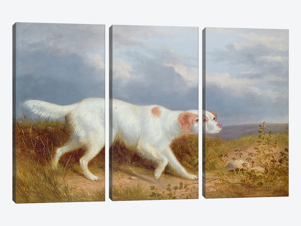 A Setter on the Moor by Philip Reinagle 3-piece Canvas Wall Art