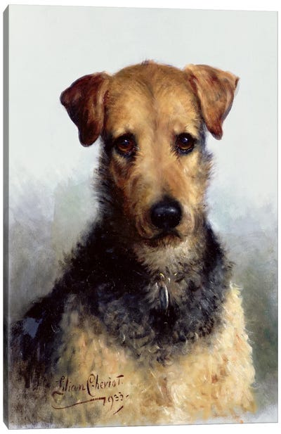 Wire Fox Terrier, 1933 Canvas Art Print