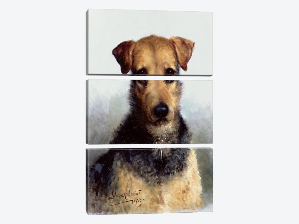 Wire Fox Terrier, 1933 3-piece Canvas Art