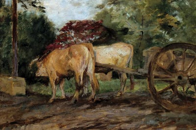 The Oxen Under The Yoke 19Th Century Bordeaux, Musee Des Beaux Arts by Henri de Toulouse-Lautrec canvas print