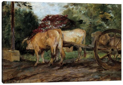 The Oxen Under The Yoke 19Th Century Bordeaux, Musee Des Beaux Arts Canvas Art Print