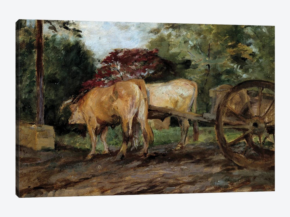 The Oxen Under The Yoke 19Th Century Bordeaux, Musee Des Beaux Arts by Henri de Toulouse-Lautrec 1-piece Canvas Print