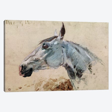 White Horse 'Gazelle', 1881 Canvas Print #BMN12616} by Henri de Toulouse-Lautrec Canvas Wall Art