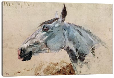 White Horse 'Gazelle', 1881 Canvas Art Print - Henri de Toulouse Lautrec