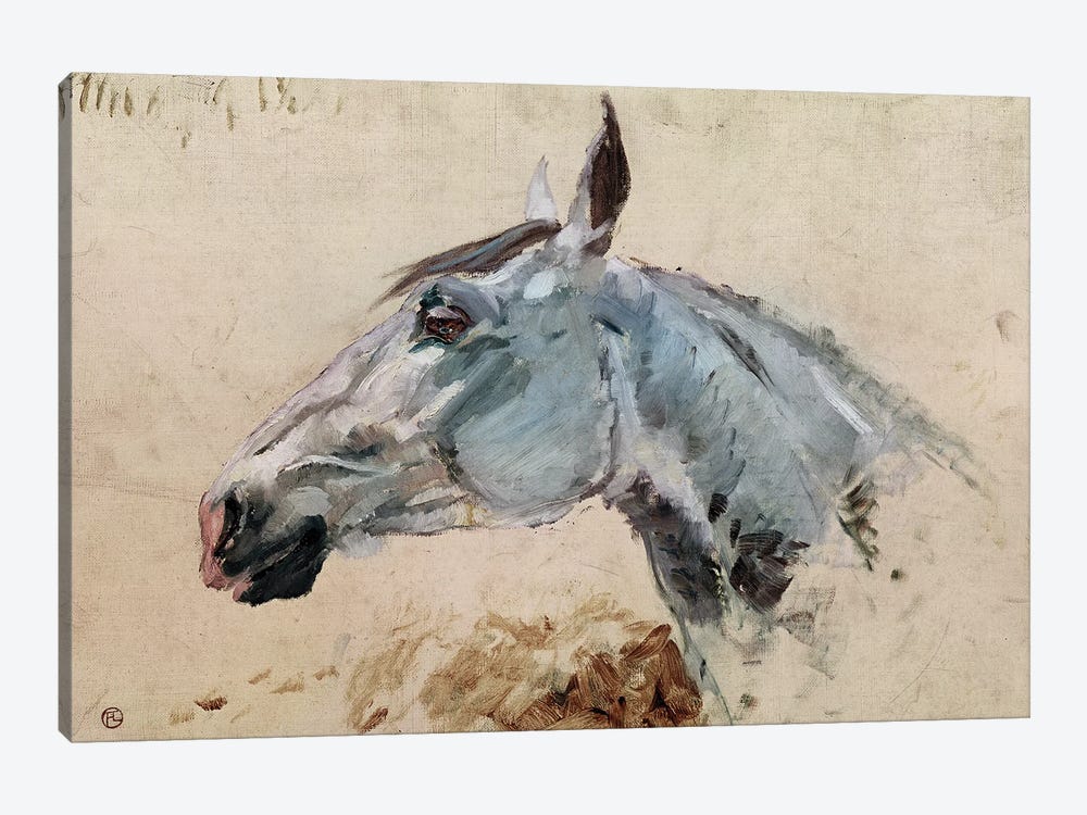 White Horse 'Gazelle', 1881 by Henri de Toulouse-Lautrec 1-piece Canvas Print