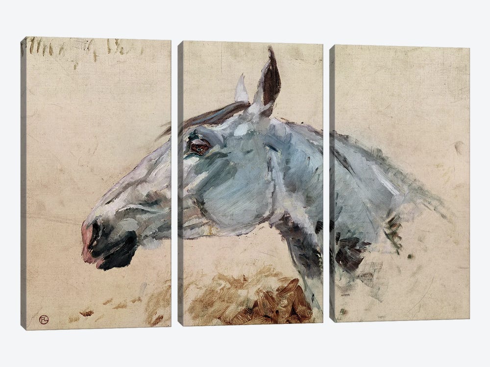 White Horse 'Gazelle', 1881 by Henri de Toulouse-Lautrec 3-piece Canvas Art Print