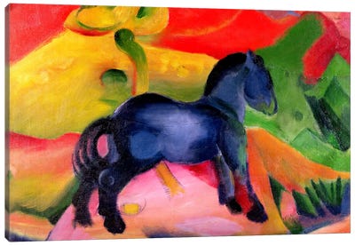 Little Blue Horse, 1912  Canvas Art Print - Expressionism Art