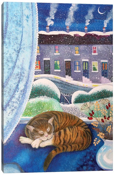 Cosy Cat, 2016, Canvas Art Print