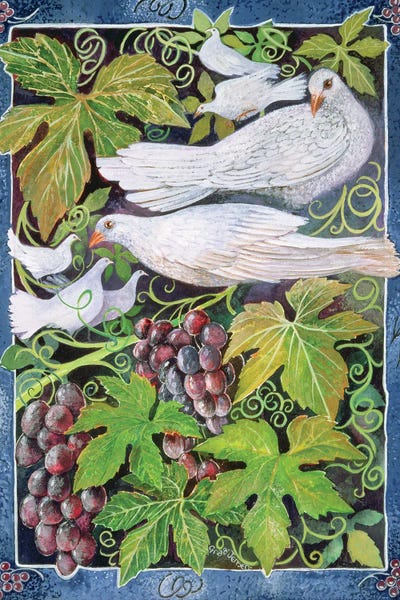 Doves & Pigeons: Doves, 1996 by Lisa Graa Jensen