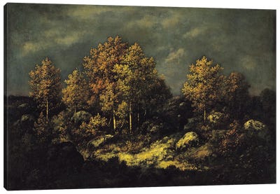 The Jean de Paris Heights in the Forest of Fontainebleau, 1867  Canvas Art Print