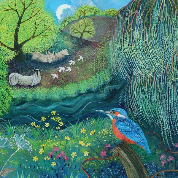 Kingfishers: Kingfisher 2018 by Lisa Graa Jensen