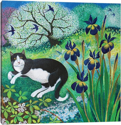 Kit's Garden,2017, Canvas Art Print - Tuxedo Cat Art