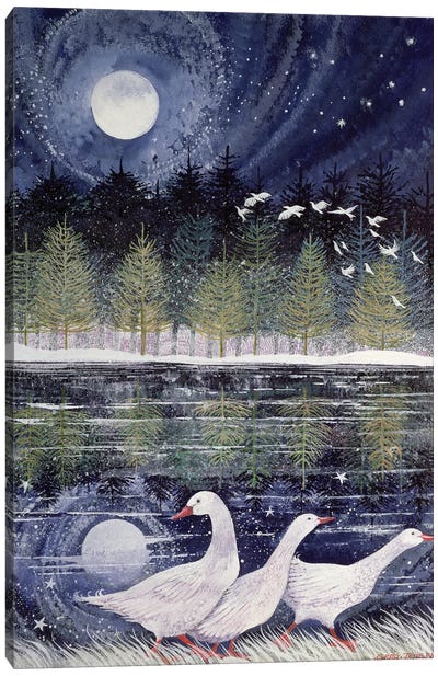 Snow Geese, 1995 Canvas Art Print - Goose Art
