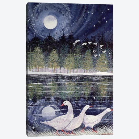 Snow Geese, 1995 Canvas Print #BMN12810} by Lisa Graa Jensen Art Print