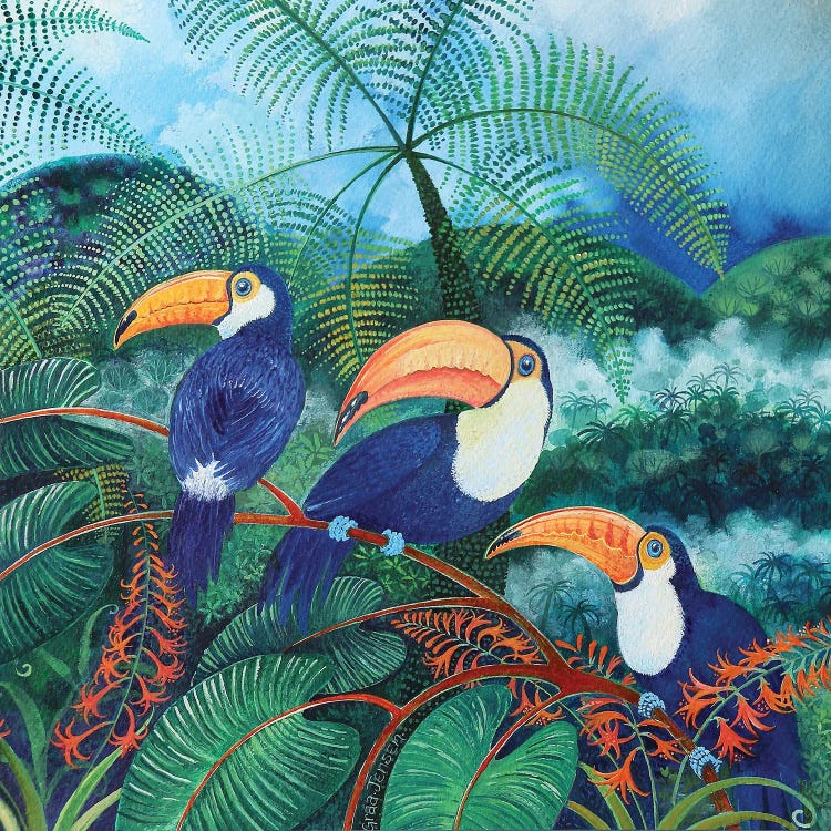 Toucans, 2012