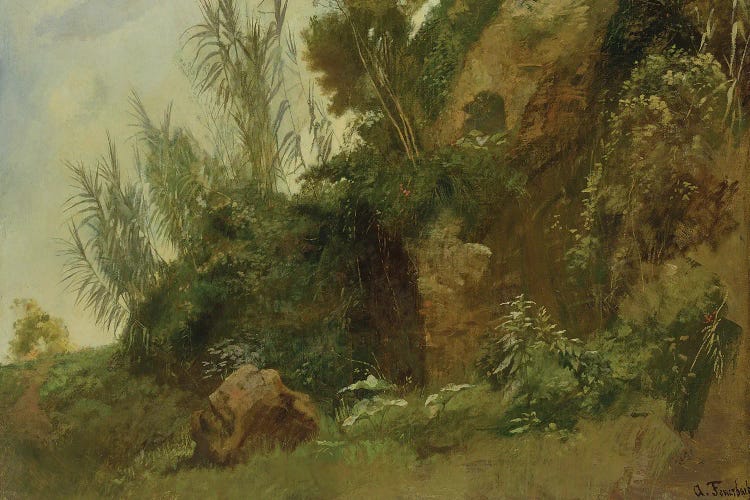 Landscape Study At Baths Of Caracalla