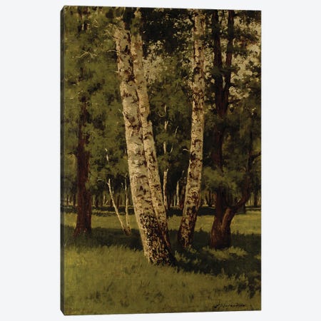 Birch Trees Canvas Print #BMN12889} by Arkip Ivanovic Kuindzi Canvas Wall Art