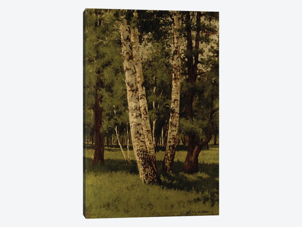 Birch Trees by Arkip Ivanovic Kuindzi 1-piece Canvas Artwork