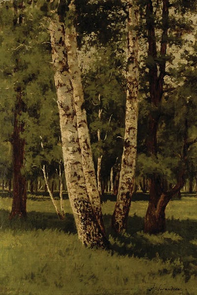 Birch Trees: Birch Trees by Arkip Ivanovic Kuindzi