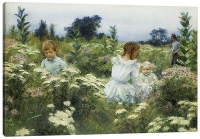 Among The Wildflowers Canvas Art Print