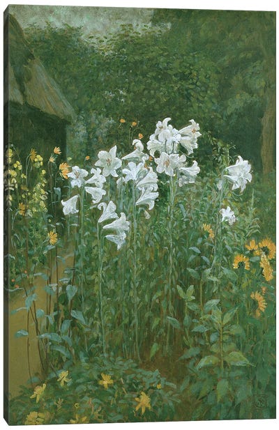 Madonna Lilies In A Garden Canvas Art Print