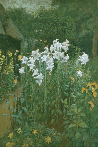 Lilies: Madonna Lilies In A Garden by Walter Crane