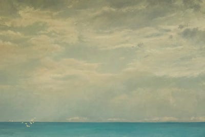 Flutter Of Life, 2017 by Angus Hampel art print