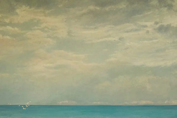 Angus Hampel: Flutter Of Life, 2017 by Angus Hampel