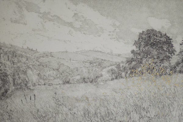 Angus Hampel: Golden Day, 2016 by Angus Hampel