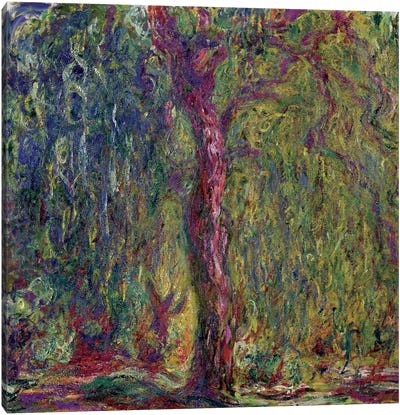 Weeping Willow, 1918-19  Canvas Art Print - Tree Close-Up Art