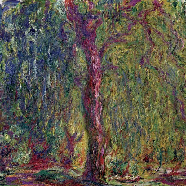 Tree Close-Ups: Weeping Willow, 1918-19  by Claude Monet