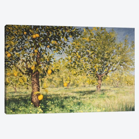 Impossibility Of A Lemon Tree, 2013 Canvas Print #BMN13063} by Angus Hampel Canvas Print