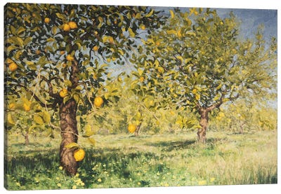 Impossibility Of A Lemon Tree, 2013 Canvas Art Print - Angus Hampel