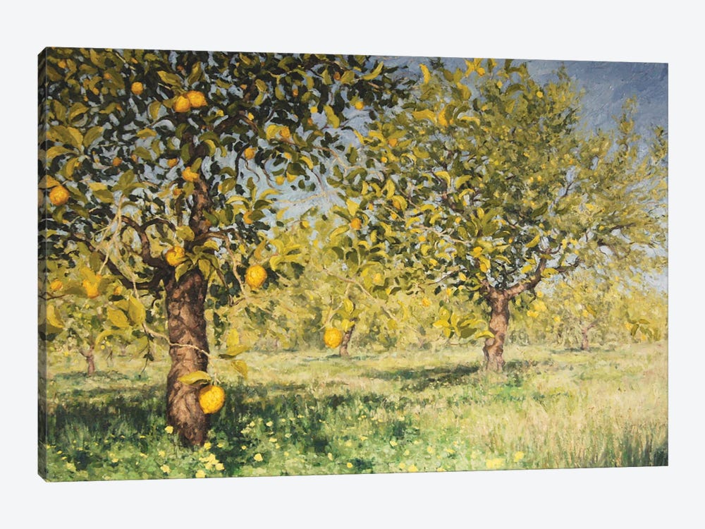 Impossibility Of A Lemon Tree, 2013 by Angus Hampel 1-piece Canvas Art Print