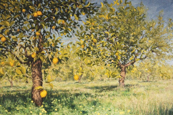 Angus Hampel: Impossibility Of A Lemon Tree, 2013 by Angus Hampel