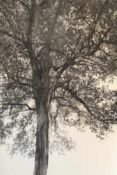 Black & White Florals: Portrait Of My Mother, 2018 by Angus Hampel