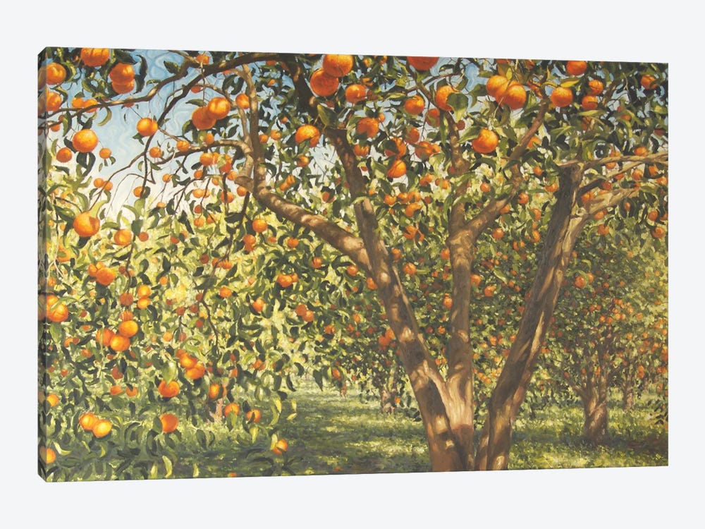 Silence Under The Oranges I, 2012 by Angus Hampel 1-piece Canvas Art